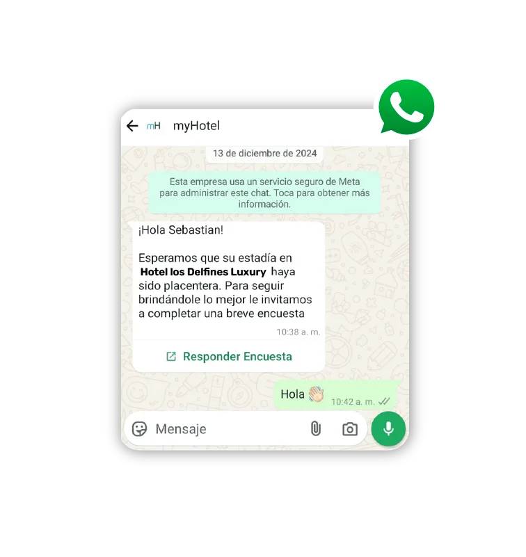 Encuestas Diseno ES copia